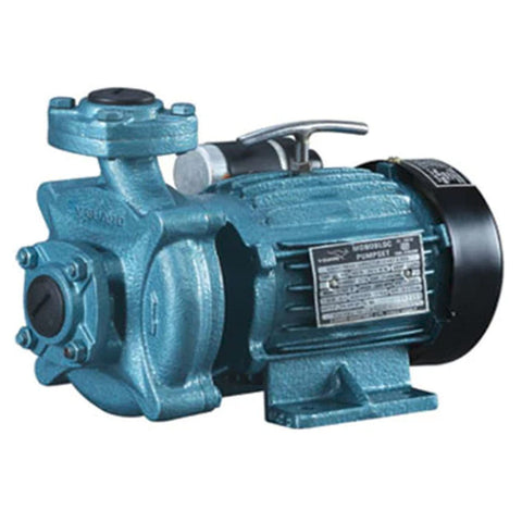 V-Guard 0.5HP Normal Voltage Model  Monoblock Pump VC-H60