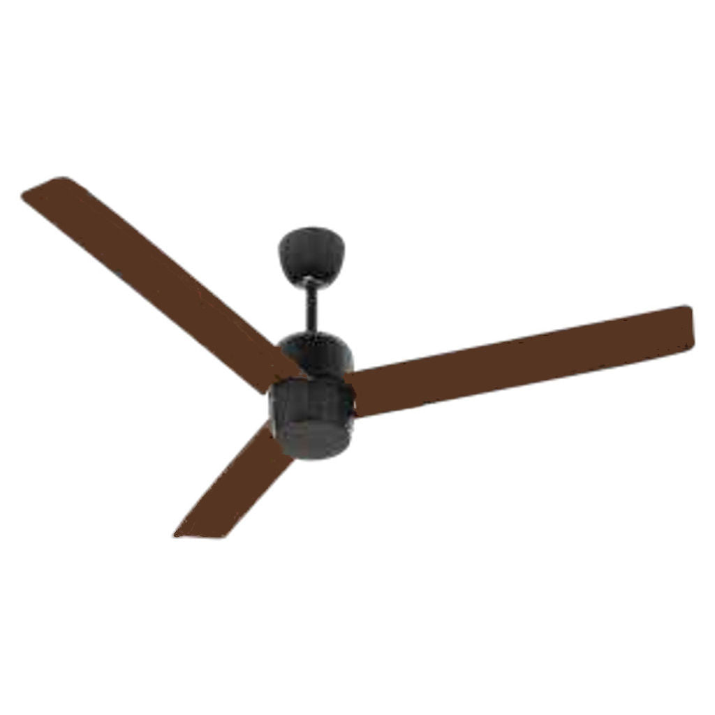 RR Signature GreenTech Bonsai BLDC Ceiling Fan With Remote 1200 mm