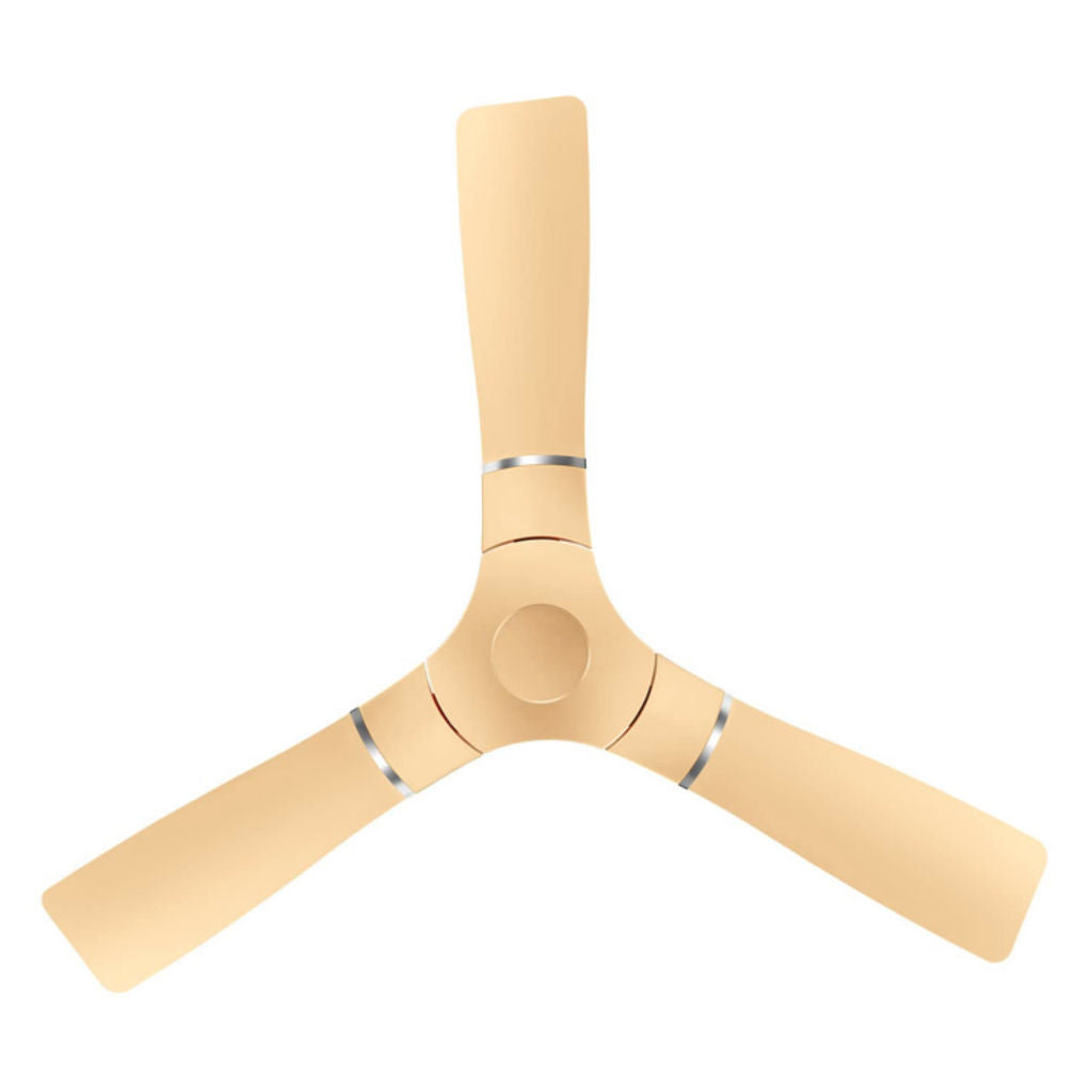 RR Signature Propelaire Ceiling Fan 1200 mm