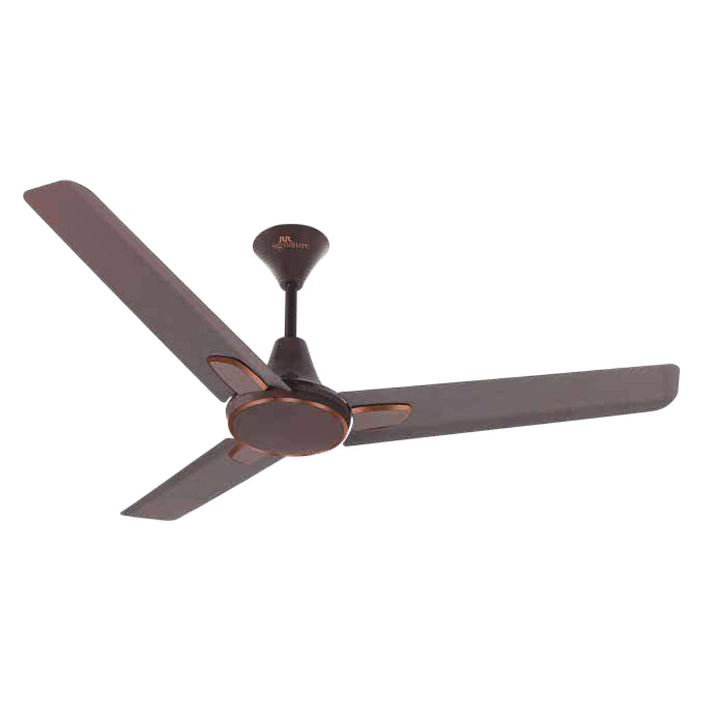 RR Signature Ovalo Ceiling Fan 1200 mm 