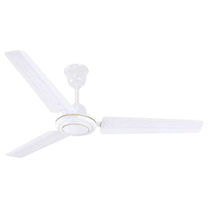 RR Signature Tiger Ceiling Fan 600 mm White 