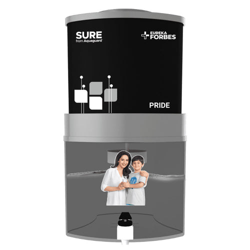 Eureka Forbes Aquaguard Pride Water Purifier 