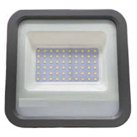 Norwood REXX Flood Light 30 W White NRX-30W-WH 