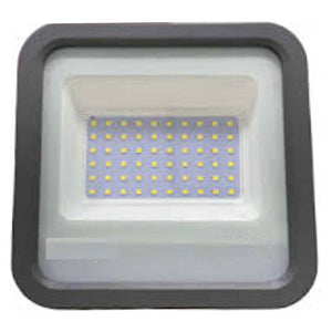 Norwood REXX Flood Light 50 W Warm White NRX-50W-WW 