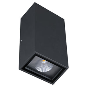 Philips Up/Down Light 10W 31450 