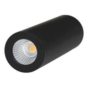 Ledlum LED Indoor Surface Mounted Down Light Round Black 20W LLS-050 