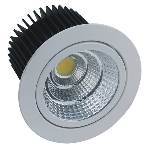 Luker LED COB Light 30W LCOB30N 