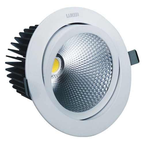 Luker LED COB Light 50W LCOB50N 