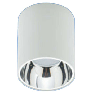 Dewton Surface Cylinder LED COB Light White 12W DSCR 12 