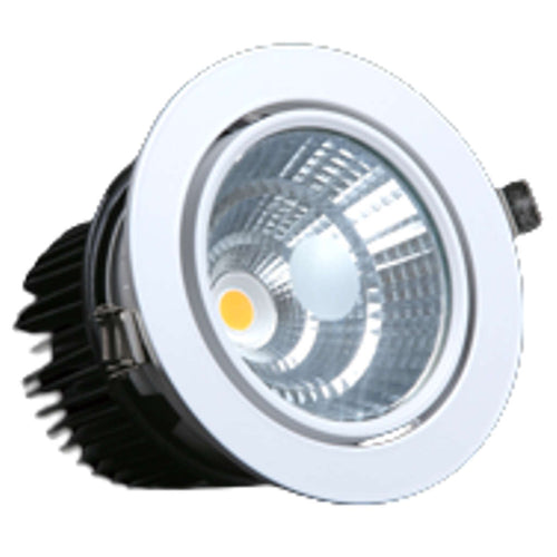 Dewton Tiltable LED COB Light Round 30W DIT 30 