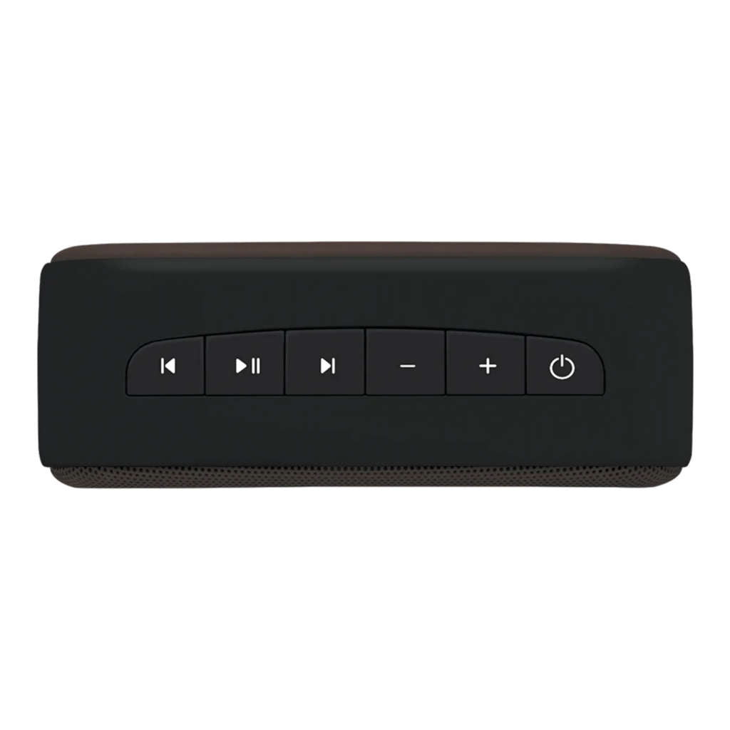 Saregama Carvaan Mini 2.0 Portable Bluetooth Speaker With Tamil Songs Moonlight Black SCM04-MR0025