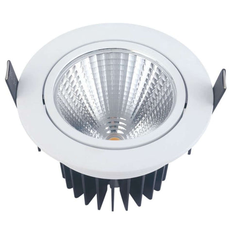 Ledlum LED Indoor COB Down Light 30W LLF - 075 