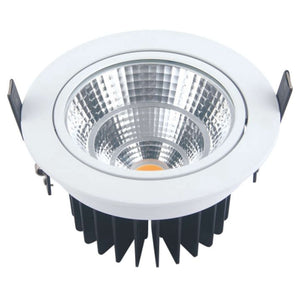 Ledlum LED Indoor COB Down Light 3W LLF - 076 