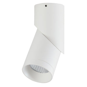 Ledlum LED Indoor Surface COB Down Light LLS-076 