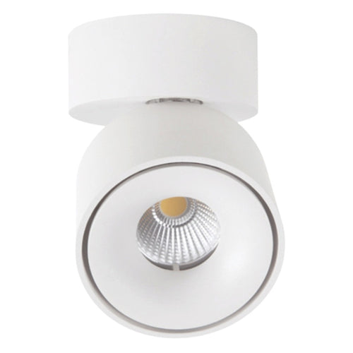 Ledlum LED Indoor Surface COB Down Light LLS-084 