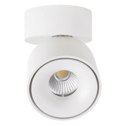 Ledlum LED Indoor Surface COB Down Light LLS-084 