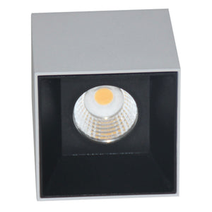 Ledlum LED Indoor Surface COB Down Light LLS-096 