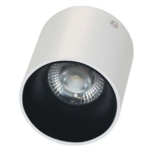 Ledlum LED Indoor Surface COB Down Light LLS-100 