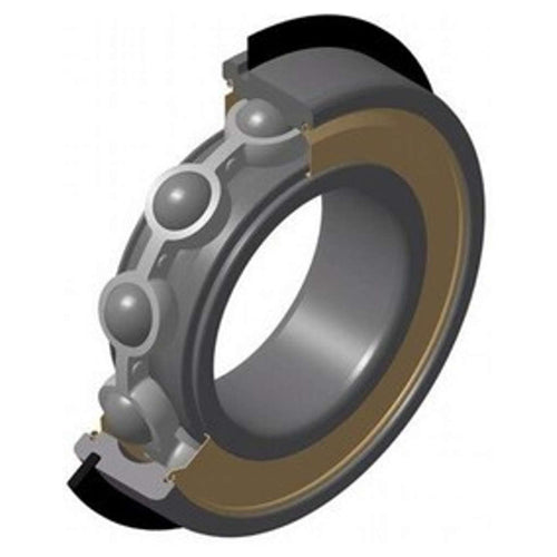 NTN Single Row Deep Groove Ball Bearing 6009ZZNR/2AS 